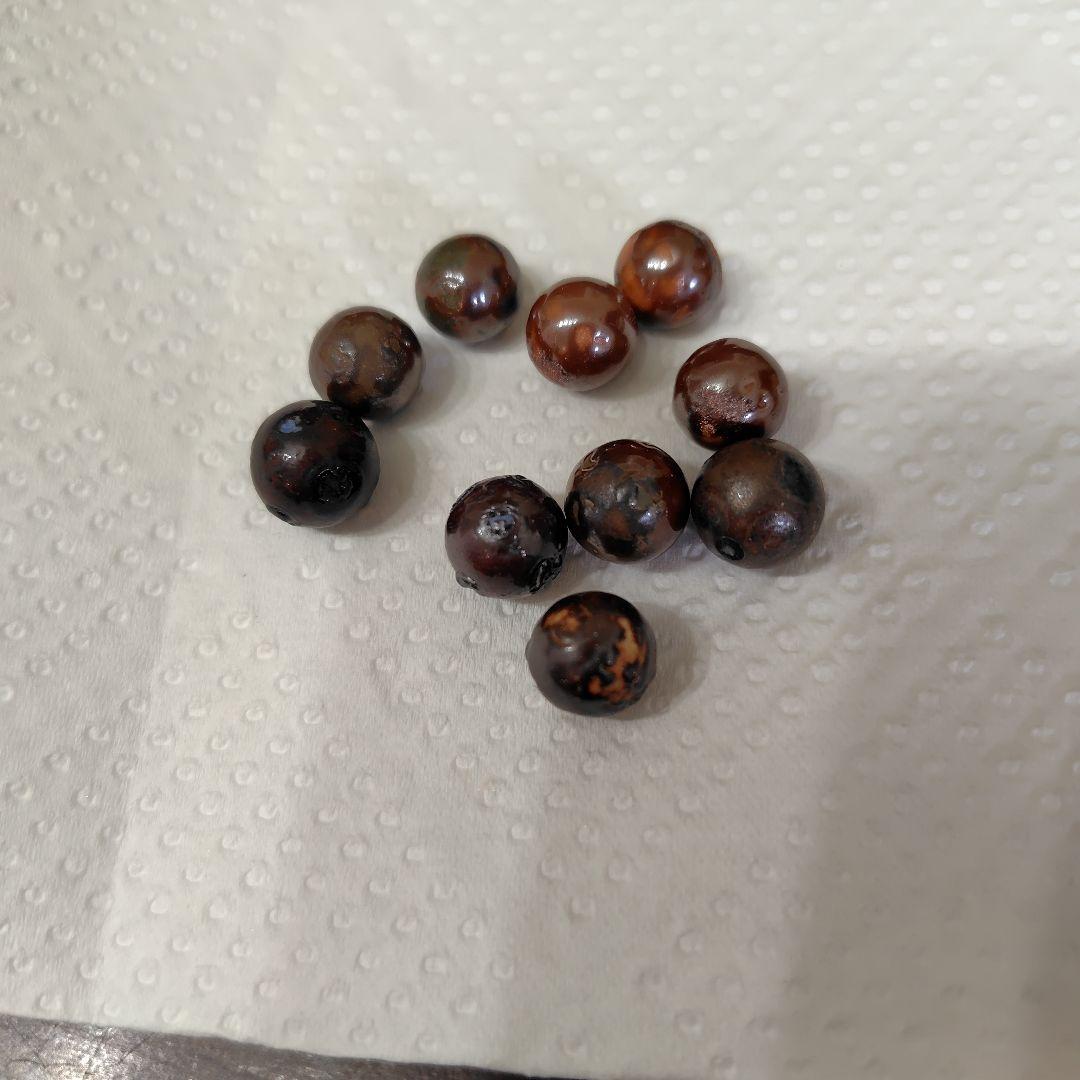 ワールドレップサービス　アースボール10個（A）