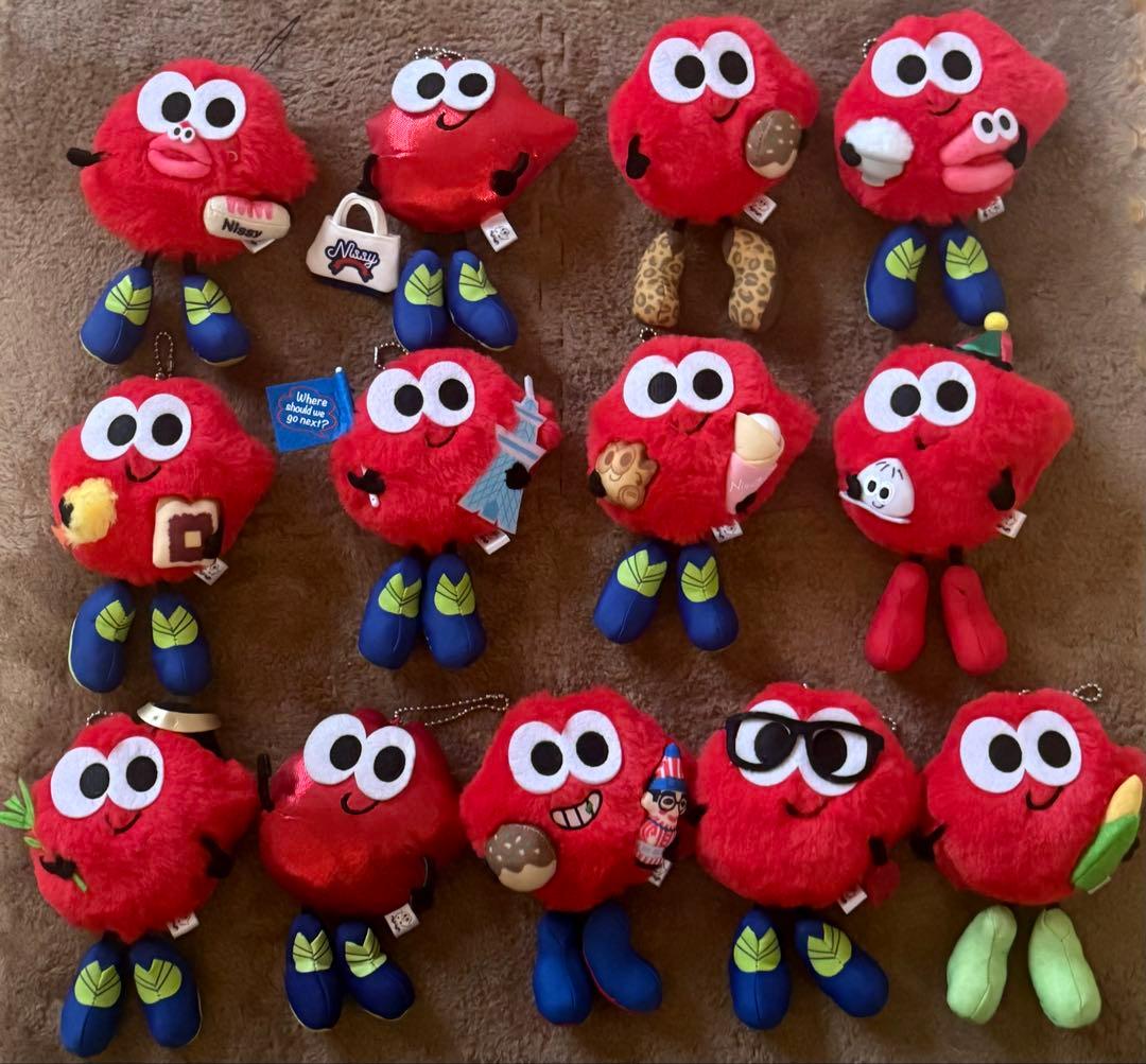 Nissy りっぴー 13点まとめ売り 東京、大阪、宮城etc...