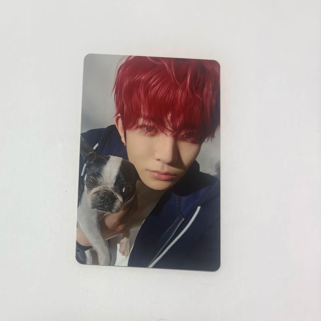 ヒスン アンケートトレカ