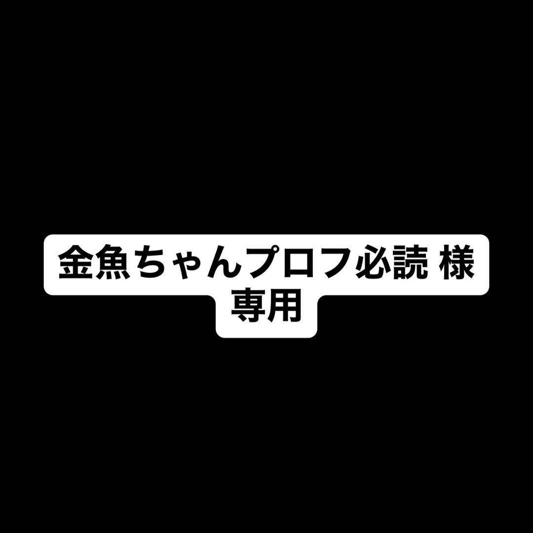 金魚ちゃんプロフ必読 専用