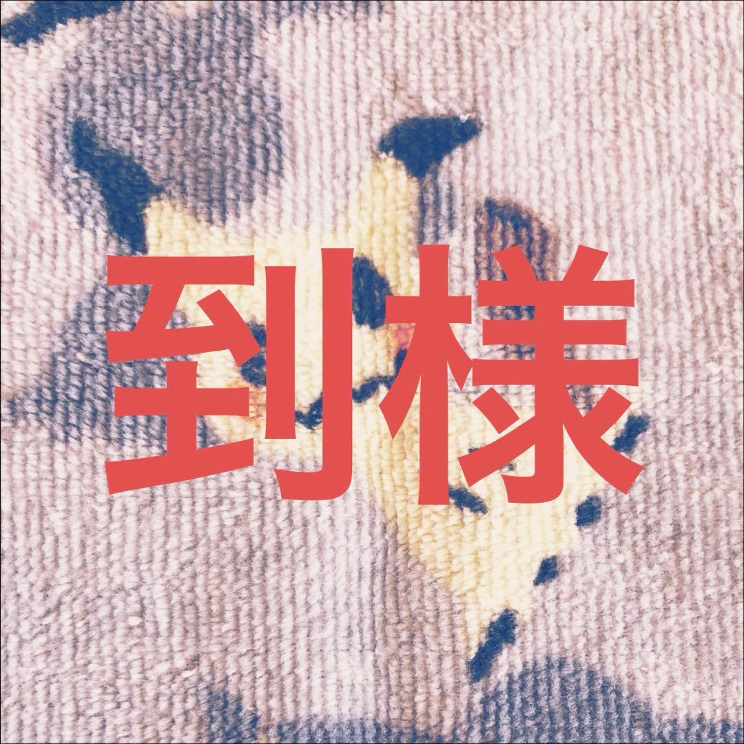 魔光神官ルドルフアルカディア 金 2枚 デュエルマスターズ 魔光神官ルドルフアルカディア 金トレジャー