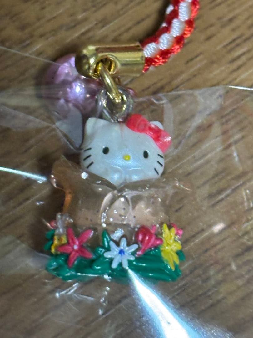 サンリオハローキティ花フェスタ岐阜フラワーフェスティバルストラップ根付け