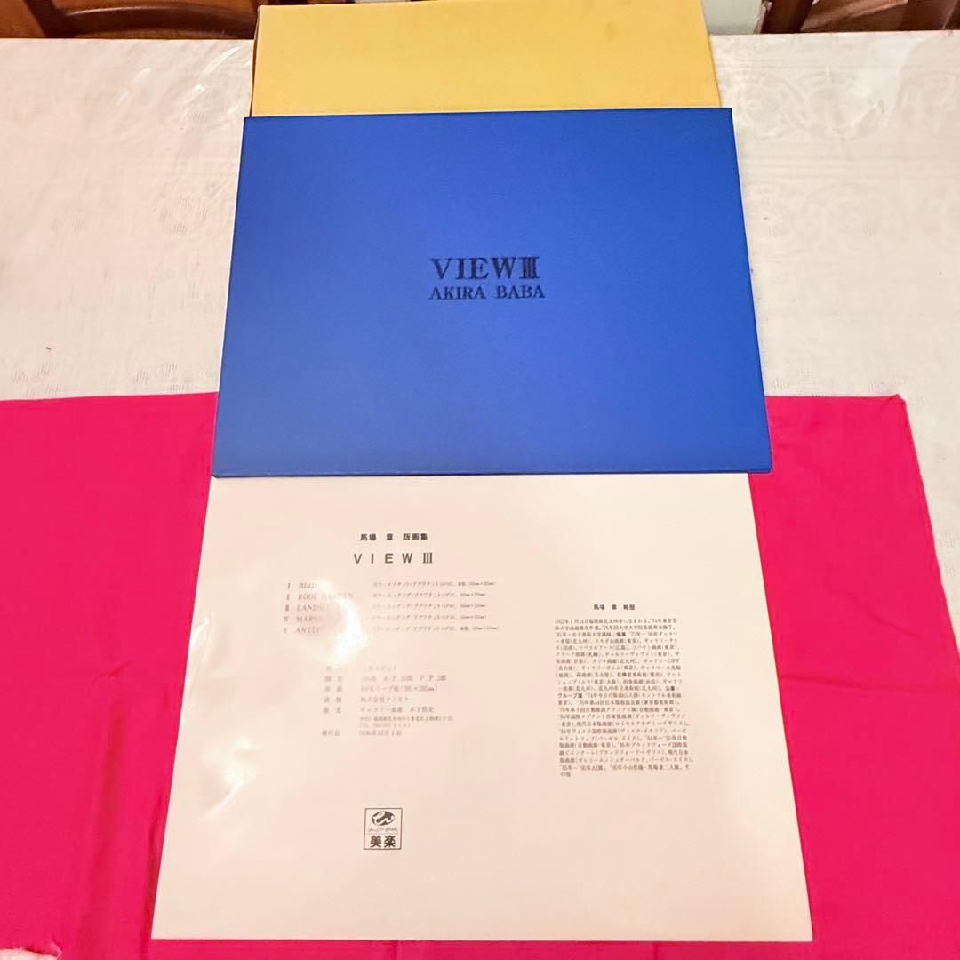 2215様感謝‼️世界観かわる‼️真作馬場章 銅版画