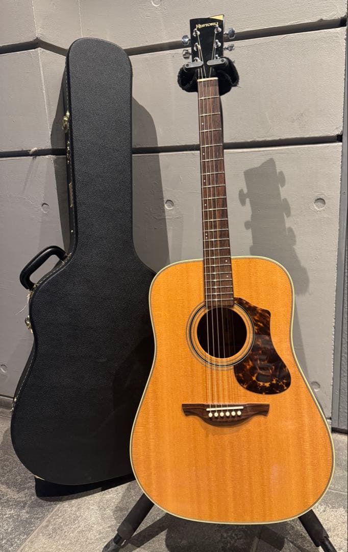 HISTORY NT-L4 専用ハードケース付き エレアコ