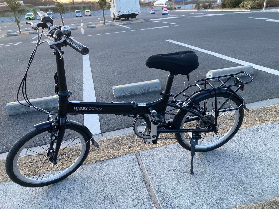 室内保管HARRY QUINN AL-FDB207 ブラック Amazon | HARRY QUINN(ハリークイン) AL-FDB207 LONG BRIGHT ブラック