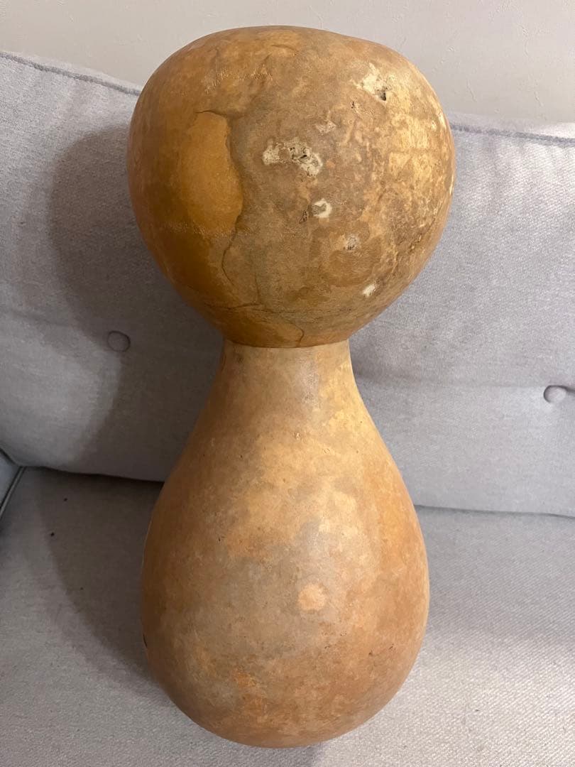 イプヘケ　艶なし　50cm 新品　ハワイ直輸入