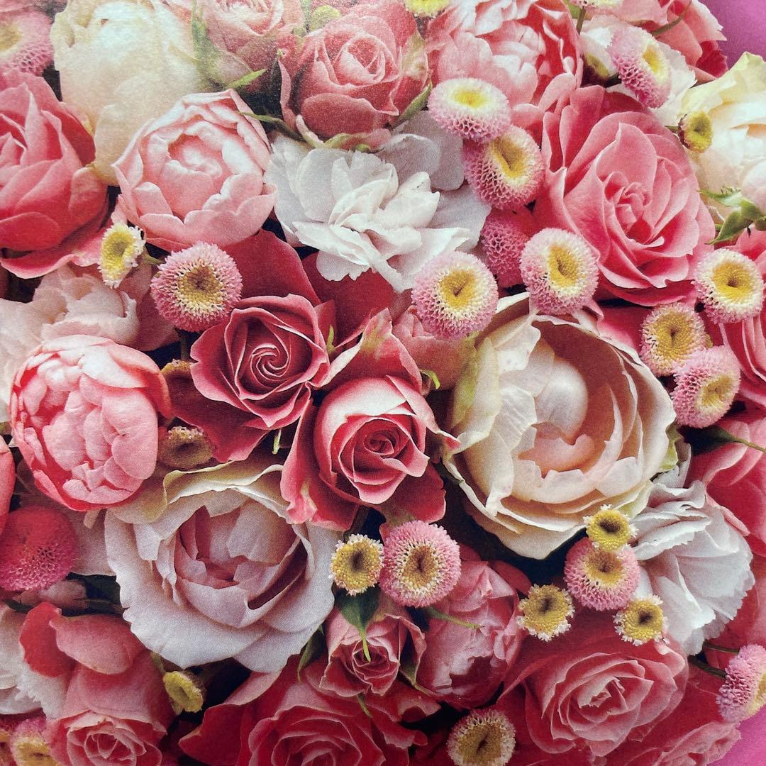 ハムさま専用　(o^^o)となります