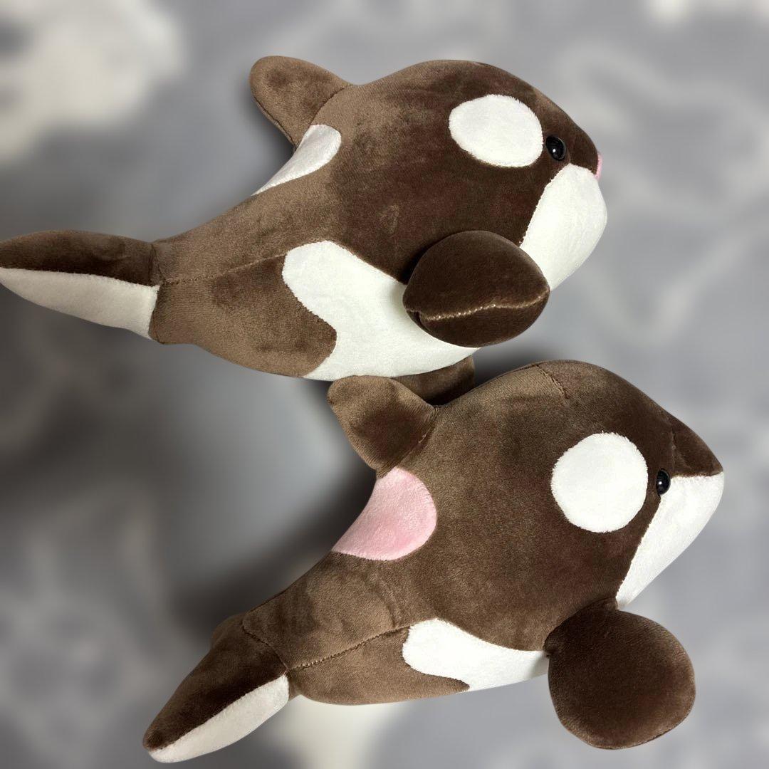 須磨シーワールド シャチ オルカくじ 新色 ショコラデュオカラー 4等