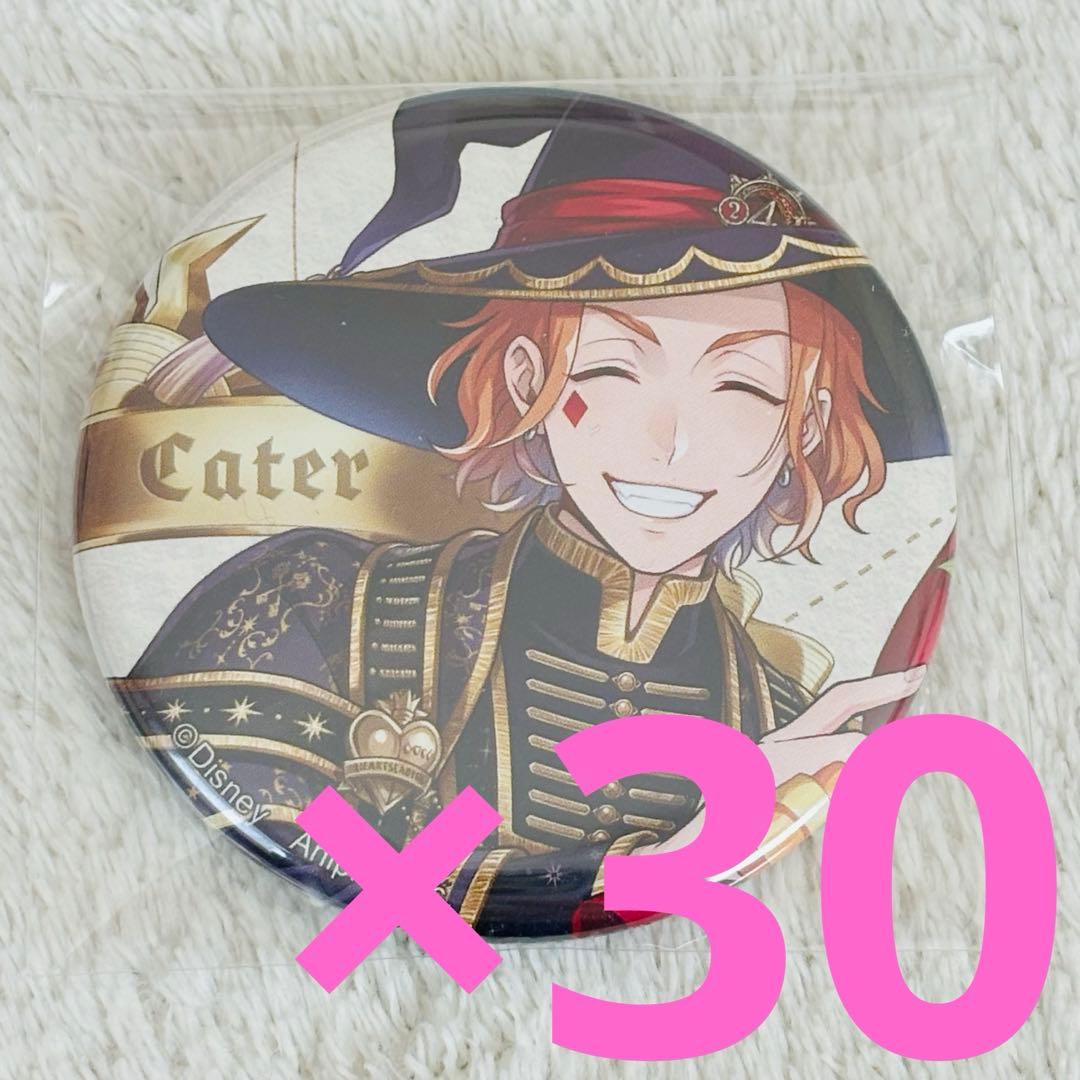 ツイステ ブルームバースデー 缶バッジ ケイト 30点