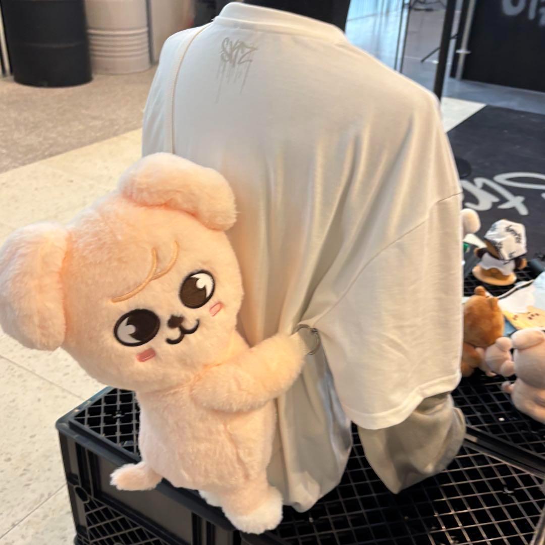 straykids スキズ POPUP スンミン　パピーム　ぬいバッグ K005