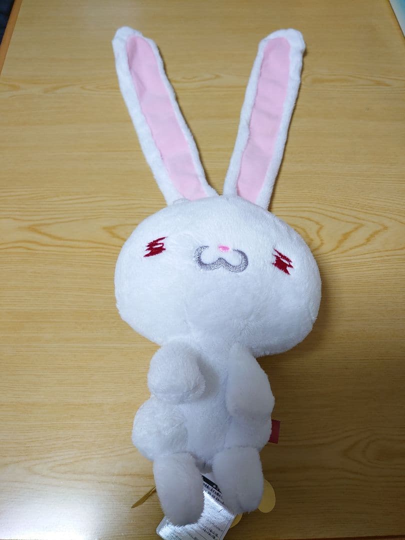 【タグ付】汎用うさぎ けいれん チャックスGP GLOOMY レア