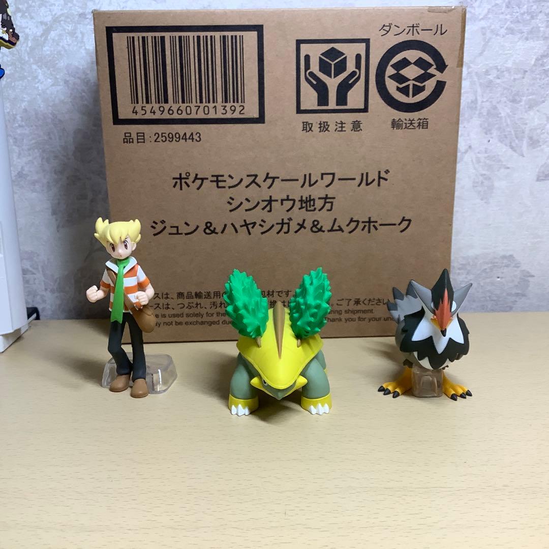 ポケモンスケールワールド ジュン&ハヤシガメ&ムクホーク - メルカリ