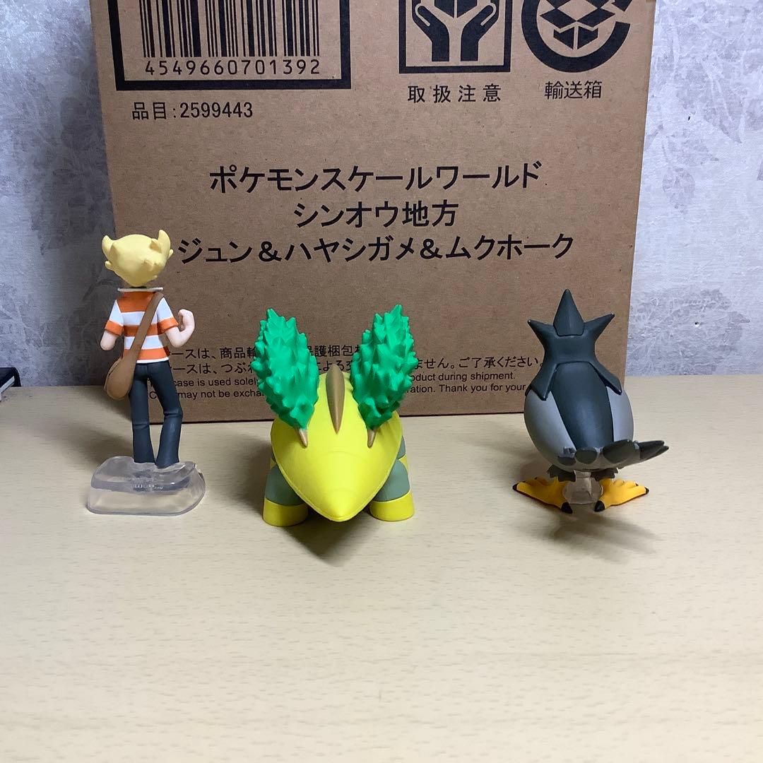 ポケモンスケールワールド ジュン&ハヤシガメ&ムクホーク - メルカリ