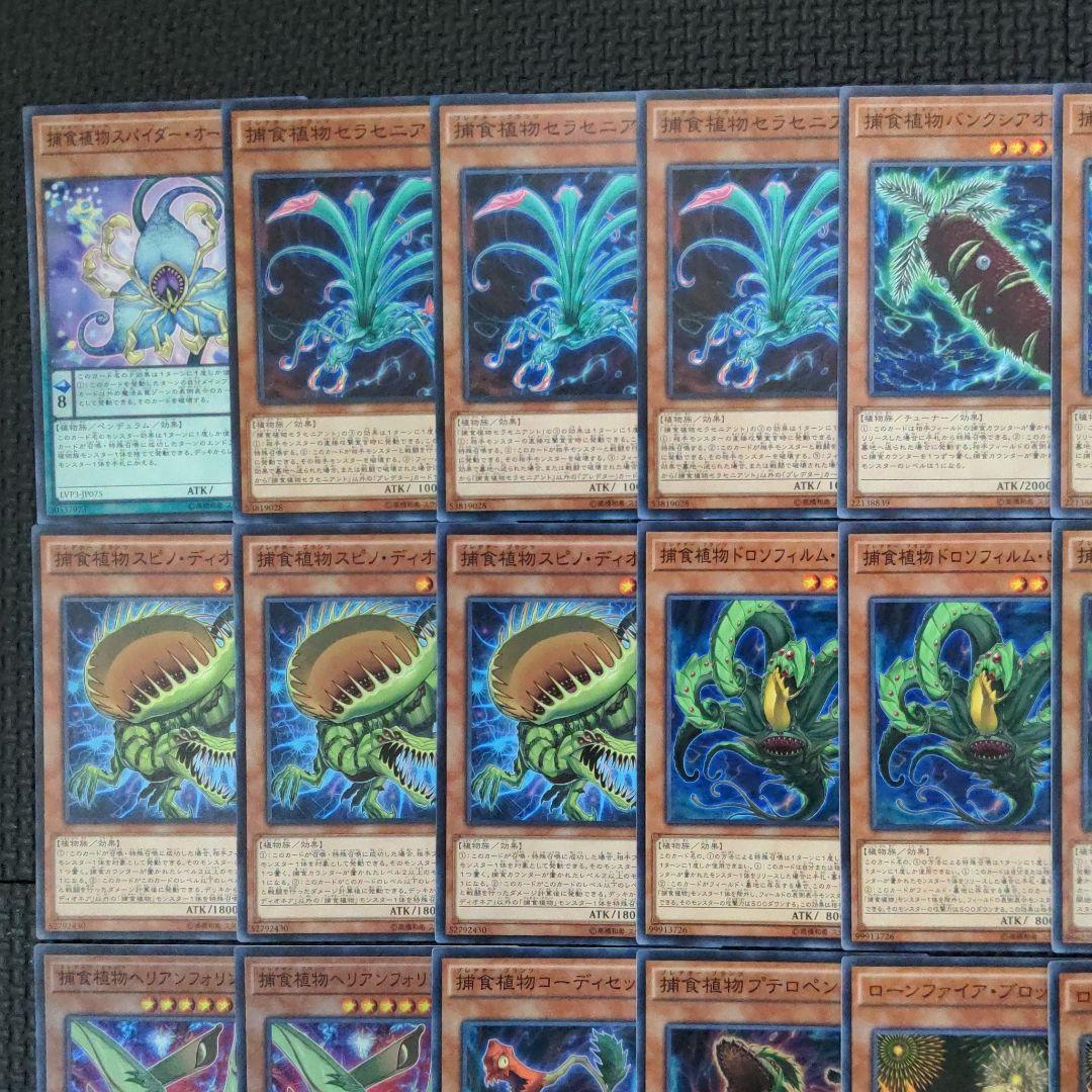 遊戯王 捕食植物 プレデタープランツ デッキ - メルカリ