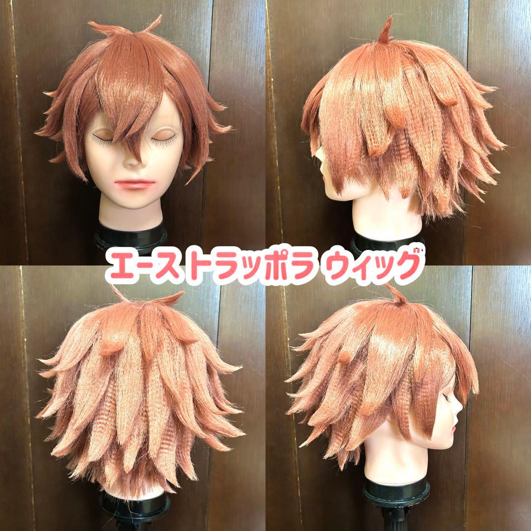 エース ウィッグ コスプレ ツイステ スワローテイル オーダー - メルカリ