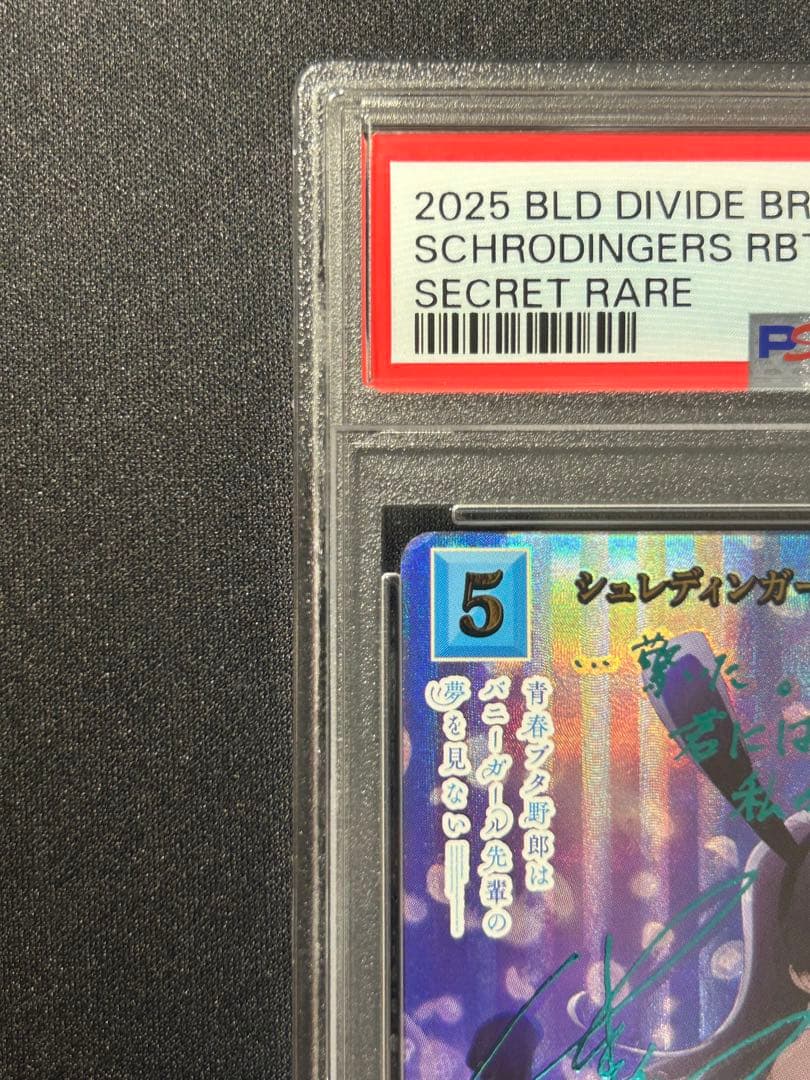 PSA10】ビルディバイドブライト シュレディンガーの兎 桜島麻衣SC サイン