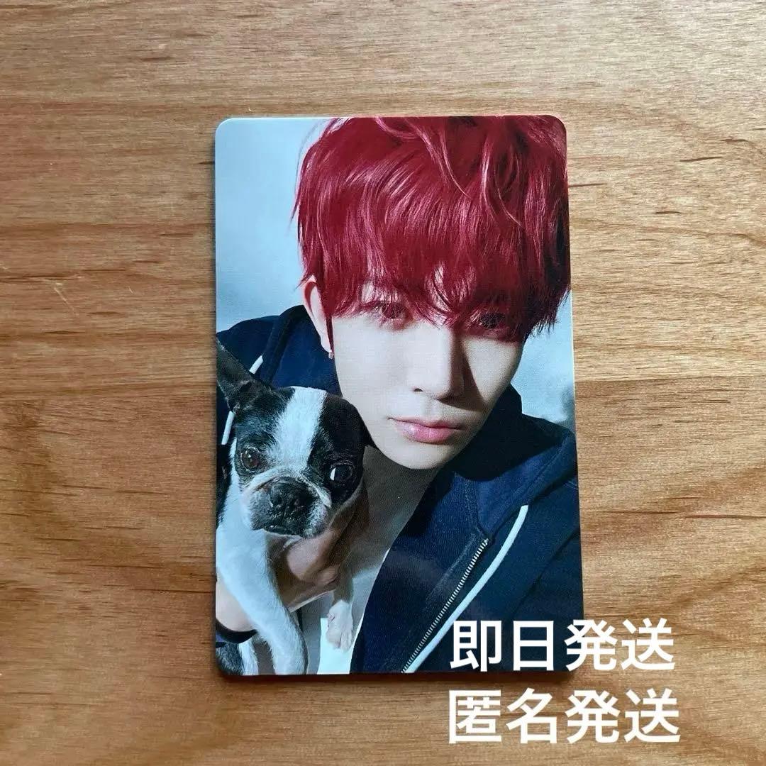 ENHYPEN FC特典 アンケート2025トレカ ヒスン エンハイフン - タレント