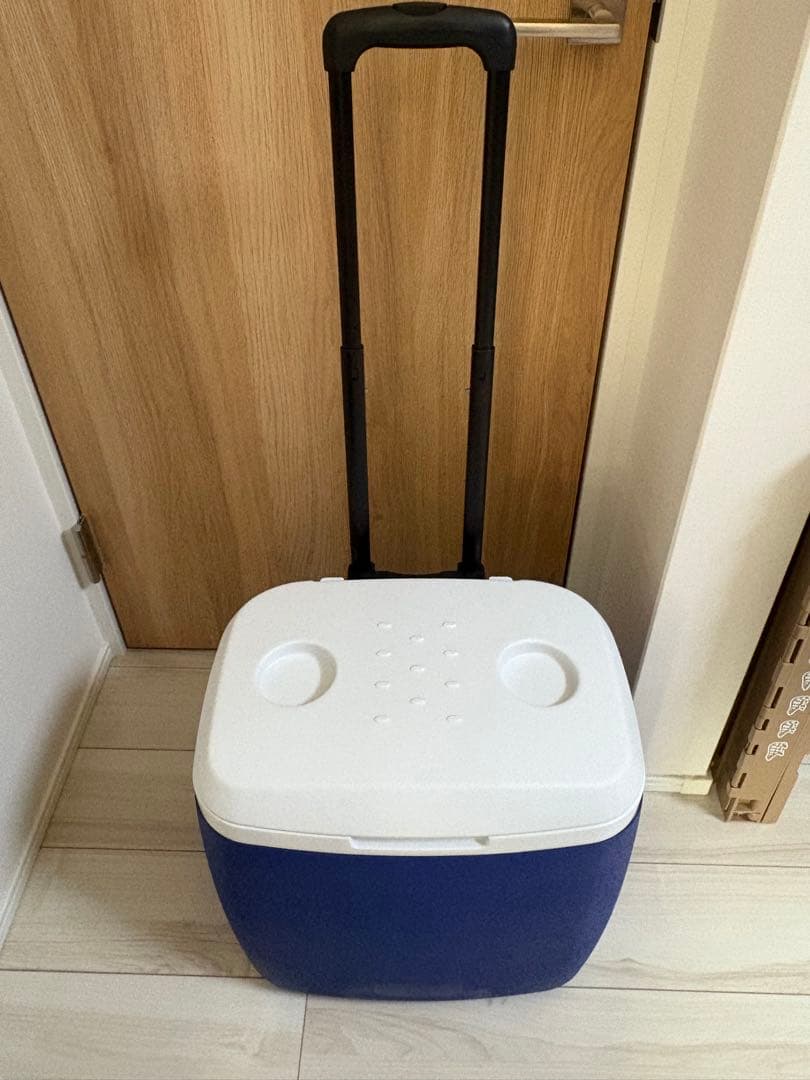 愛帽 最新型ダイヤル式 頭皮冷却帽子 (6時間分) アイスジャパン - メルカリ