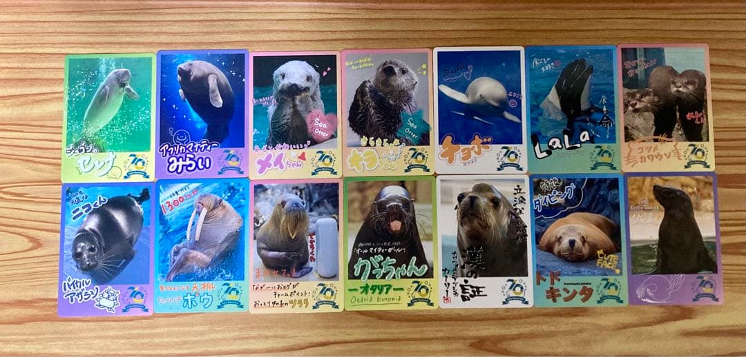鳥羽水族館70周年記念コレクションカード72種 - メルカリ