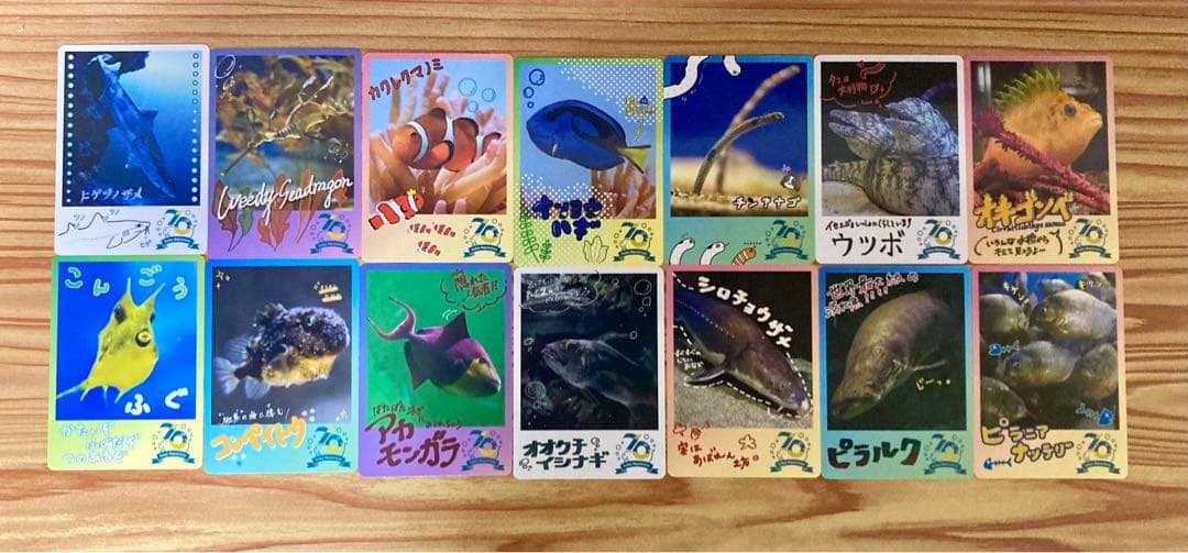 鳥羽水族館70周年記念コレクションカード72種 - メルカリ