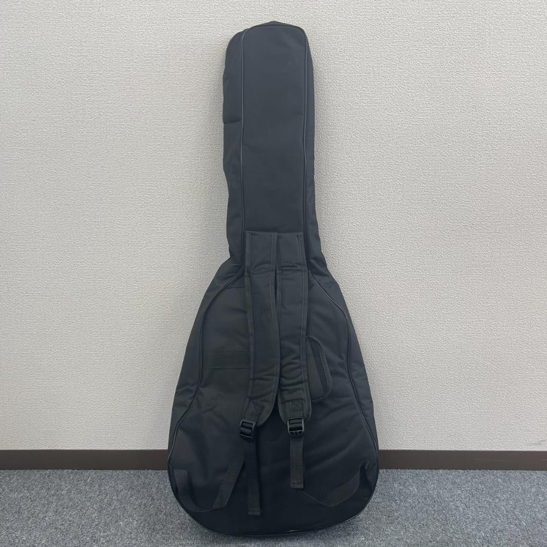 セミアコ】IRIN アイリーン ホロウFホール22フレット トレモロアーム機能