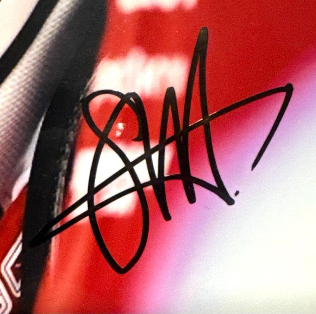 超絶美品】セバスチャン・ベッテル 直筆サイン入り写真 2019年Ferrari