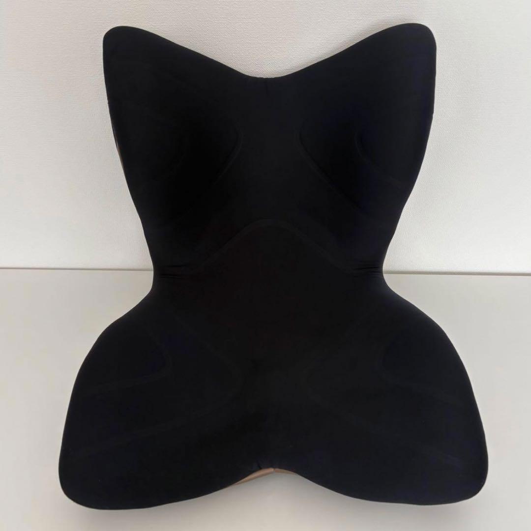 MTG スタイルプレミアム　骨盤矯正 Style（スタイル） 姿勢ケアシート Style PREMIUM プレミアム MTG 骨盤