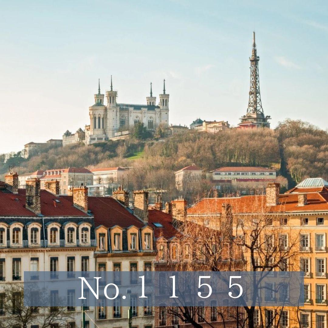 No.1155　おまとめご依頼　アンティーク本３点 ブラウンカラーの美しい装丁の洋書（26x17cm） フランスアンティーク