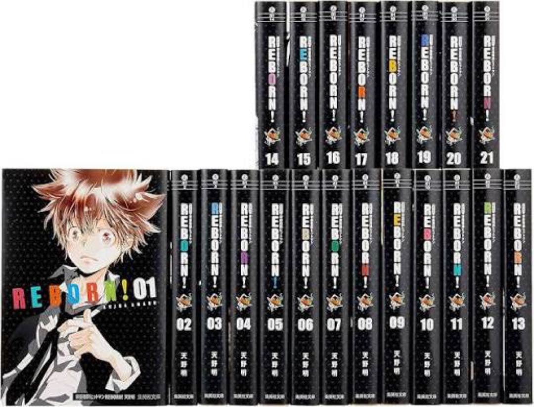 .*.様 家庭教師ヒットマンREBORN! 文庫版 全21巻 完結セット