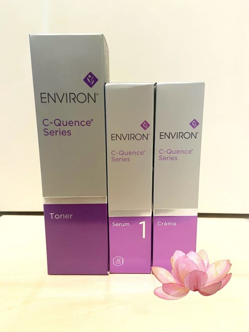 Cクエンス1セット