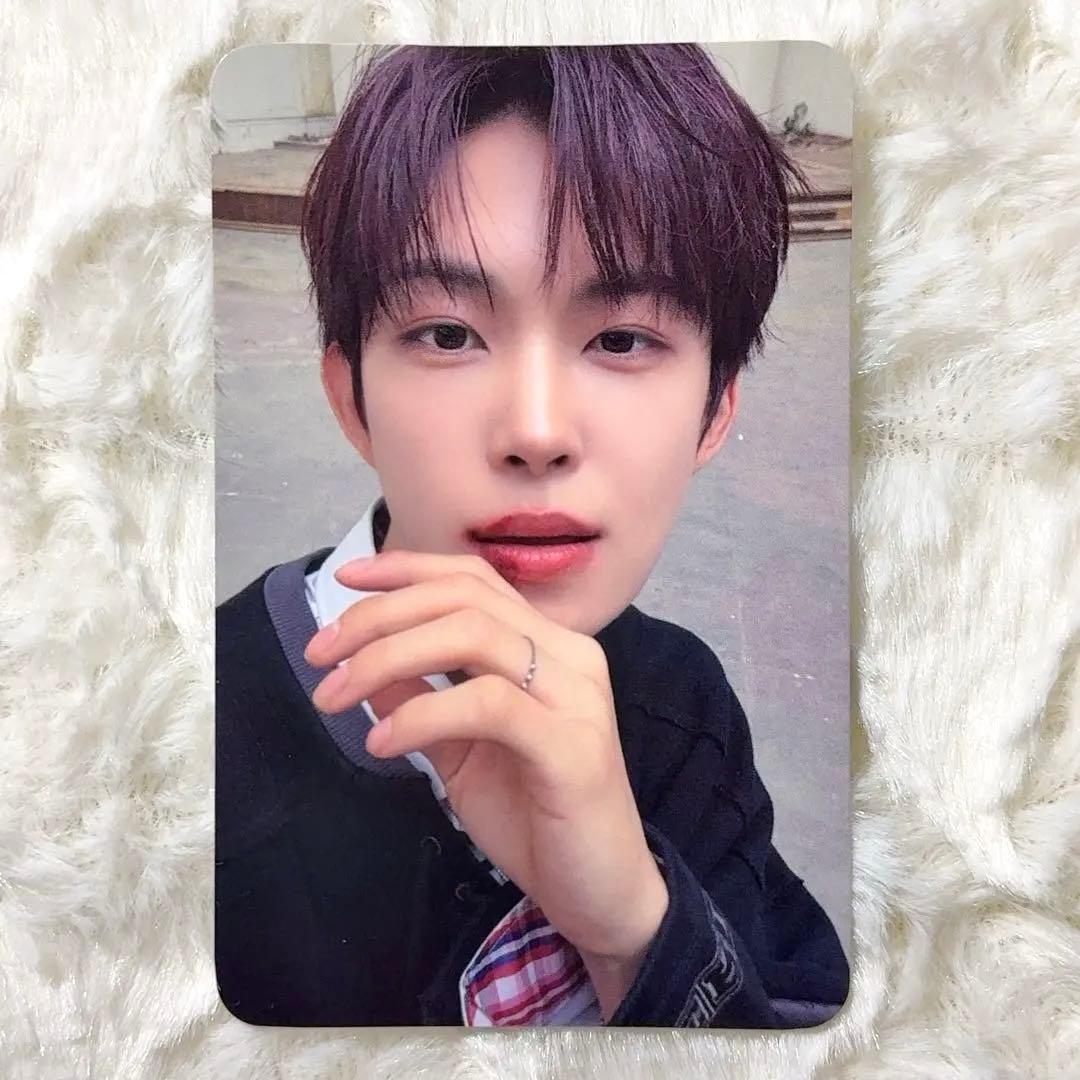 ALD1 ゴヌ MUSICPLANT 特典トレカ 自由ポーズver. - メルカリ