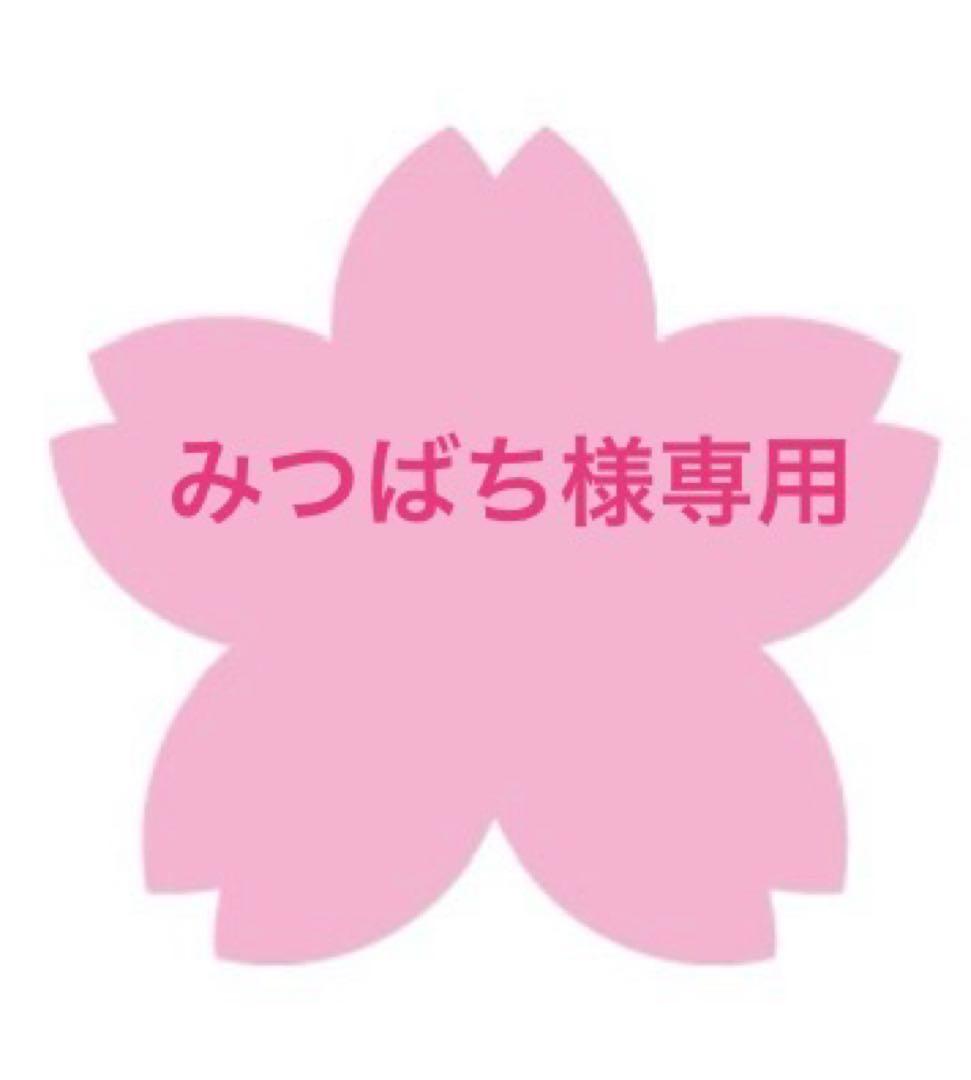 【専用ページ】