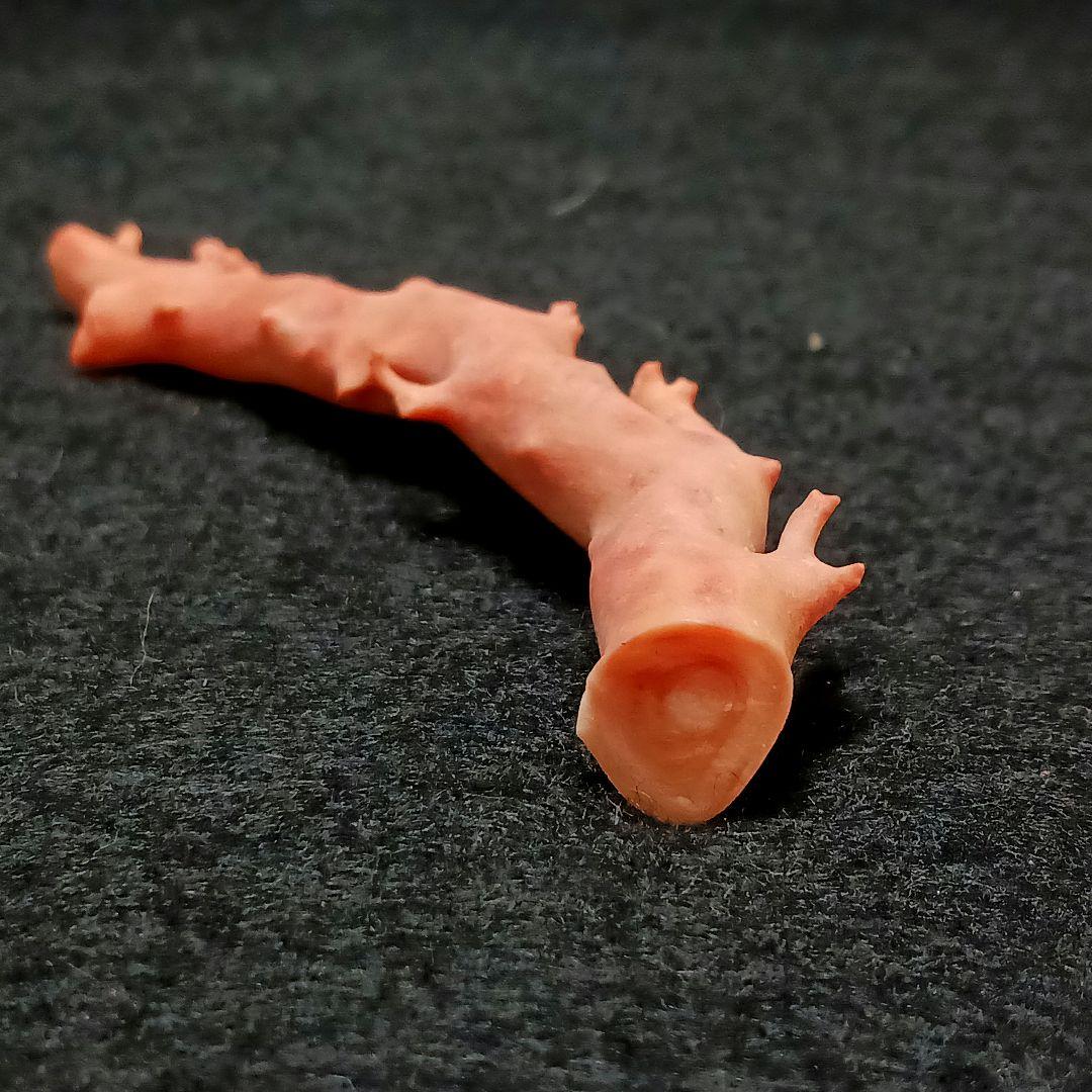 Y2678-4 国産桃色珊瑚原木 珊瑚 総重量32.5g 太軸 - メルカリ