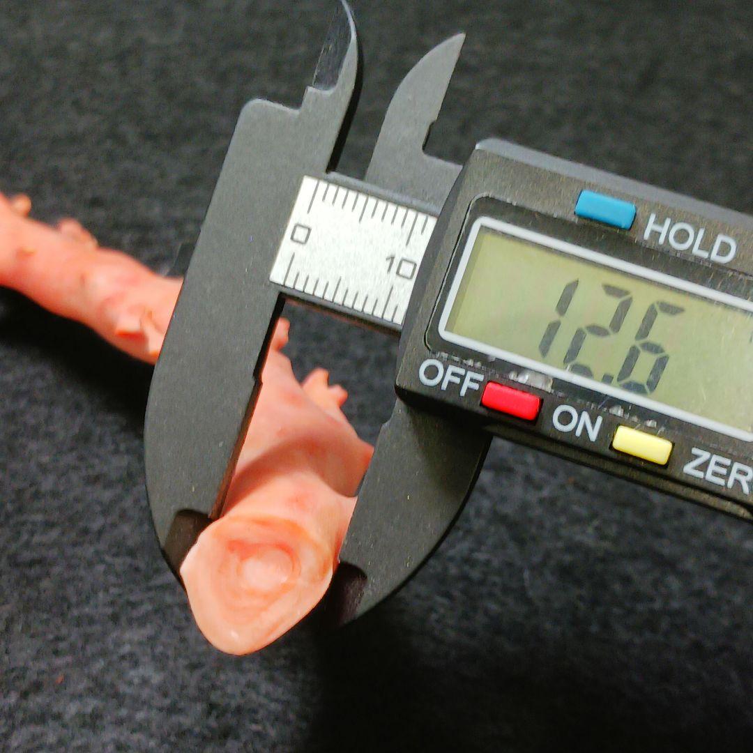 Y2678-4 国産桃色珊瑚原木 珊瑚 総重量32.5g 太軸 - メルカリ