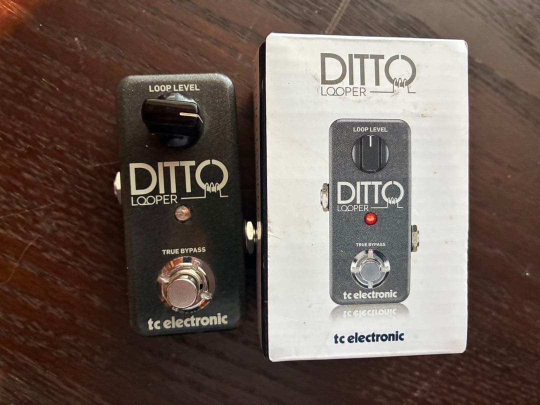 tc electronic DITTO LOOPER 中古品