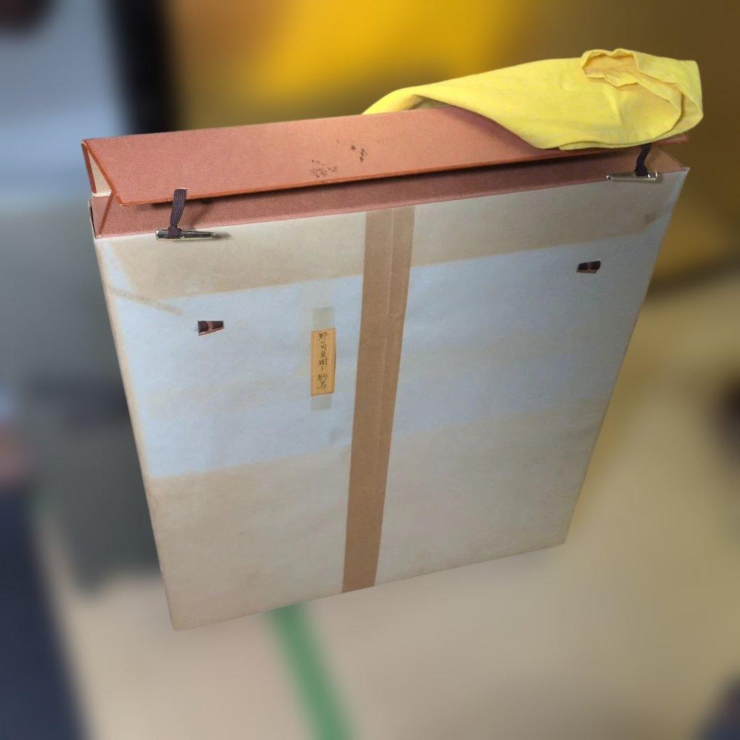 野々内良樹 駒鳥(コマドリ)