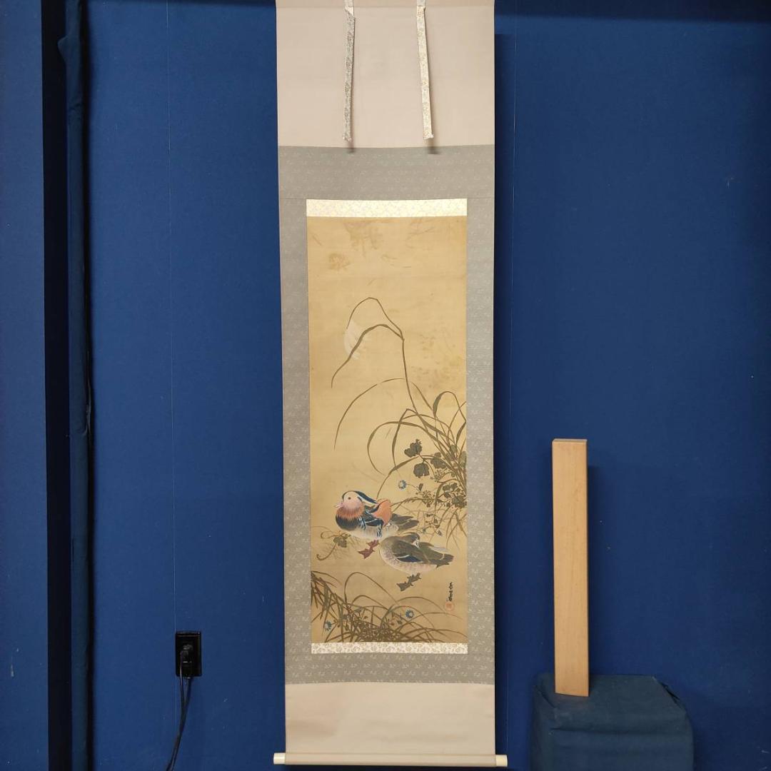 真作/芳翠/秋草鴛鴦図/オシドリ/花鳥/布袋屋掛軸A-519 - メルカリ