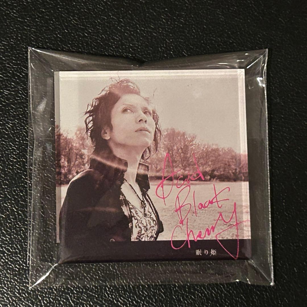 THE RAMPAGE 長谷川慎 直筆サイン入り フライヤー