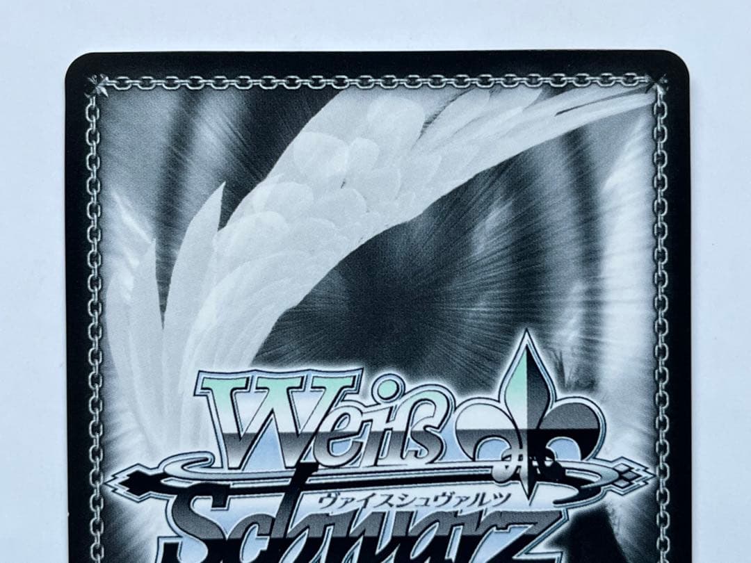 ヴァイスシュヴァルツ 配下への思い アインズ SEC サイン オーバーロード