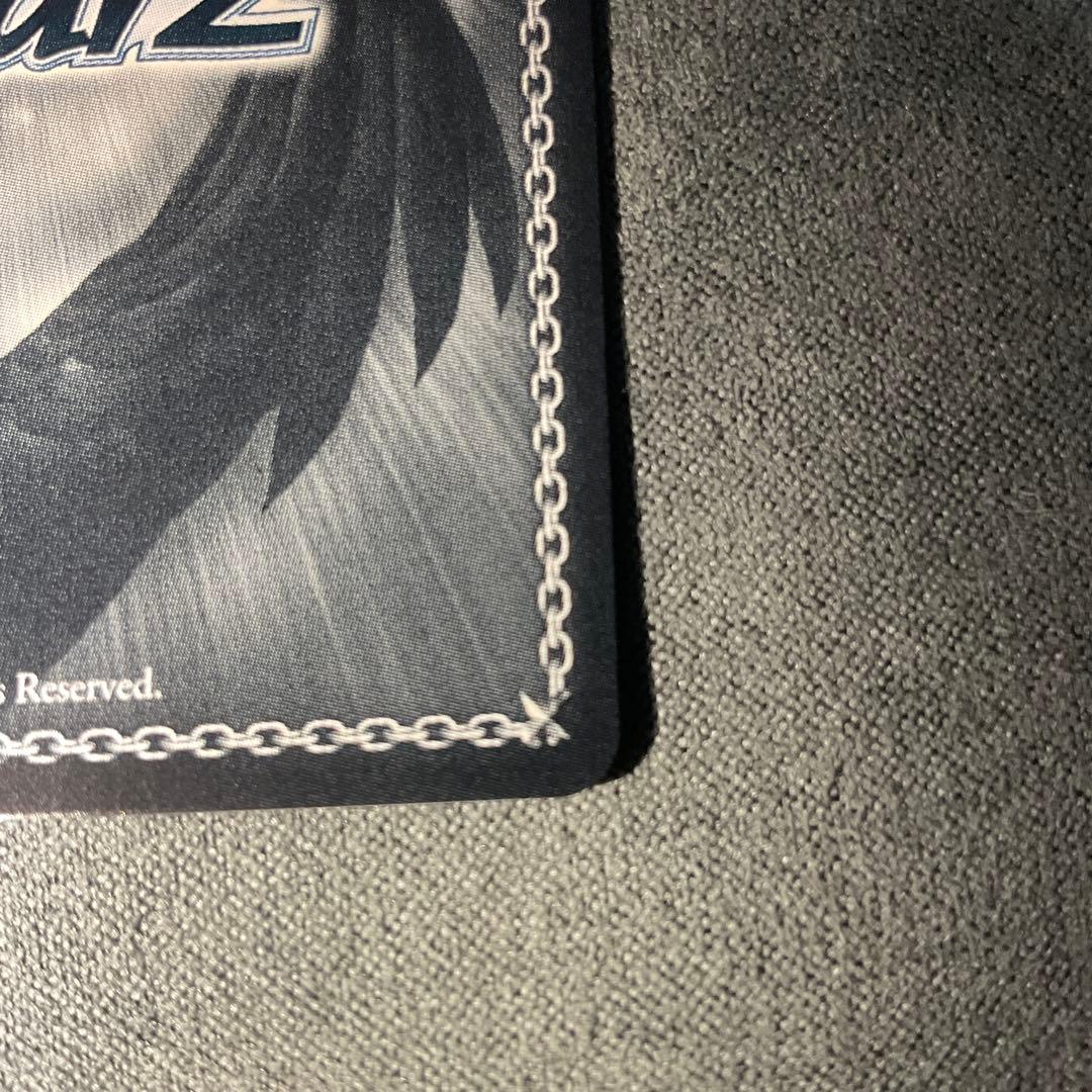 ヴァイスシュヴァルツ 電撃文庫 ジェス&豚 SP サイン - メルカリ