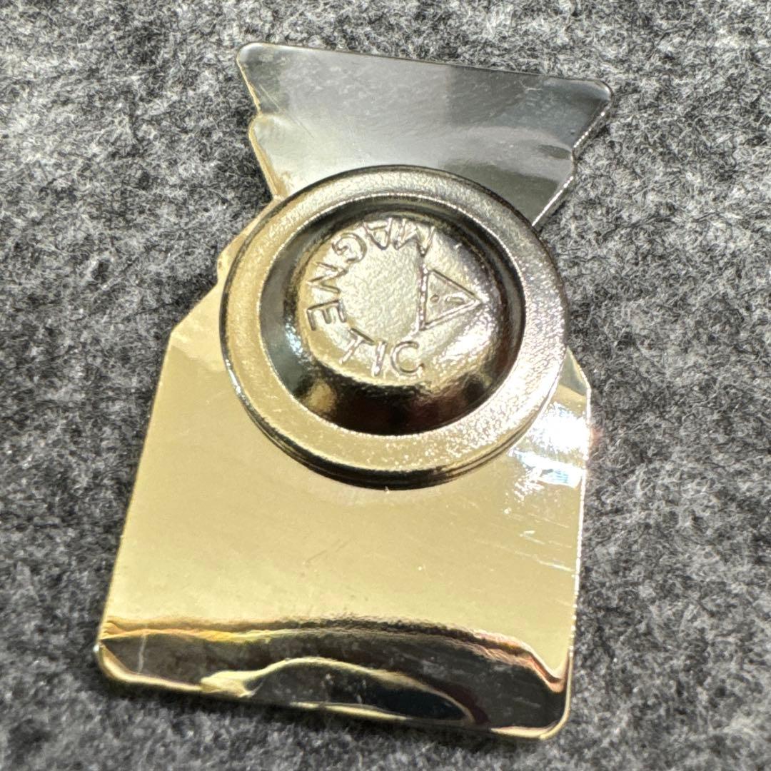 貴重】サウジアラビア ピンバッジ 2030リヤド万博 - メルカリ