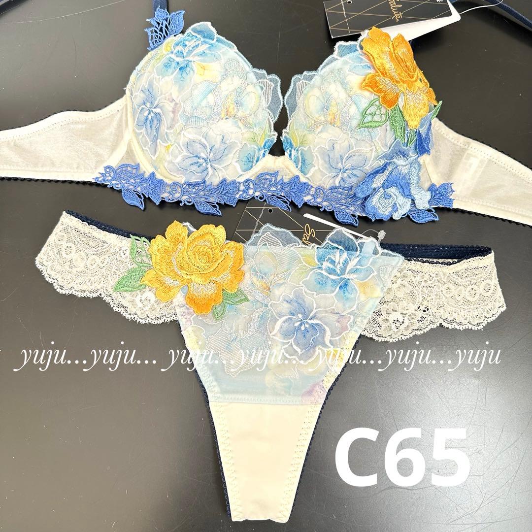 ワコール/サルート 06G 新品タグ付 P-upブラソング C65