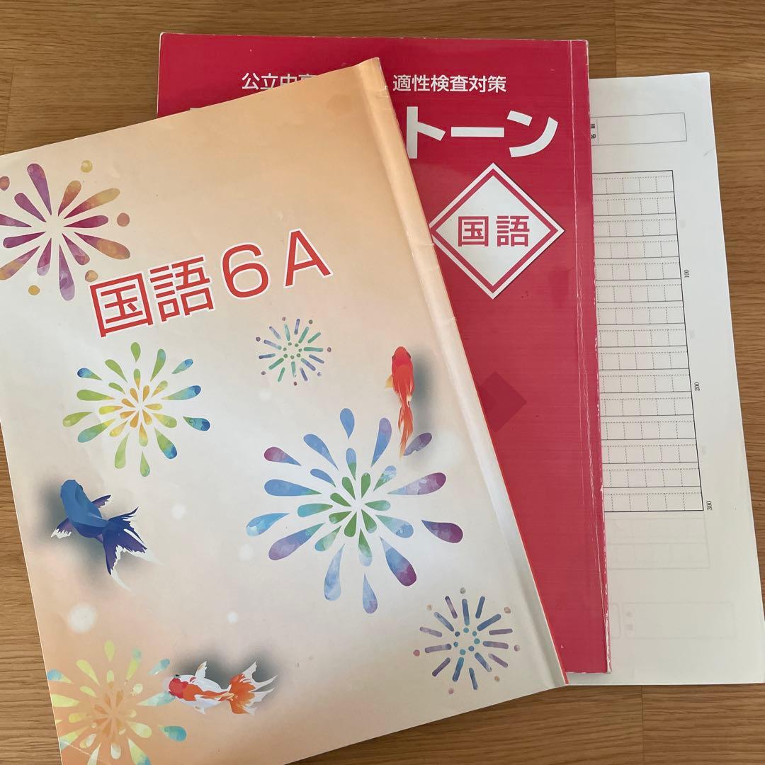 水都国際 咲くやこの花 開成教育セミナー 6年生 テキスト まとめ 中学