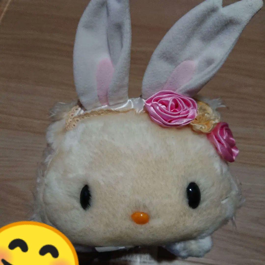 ウサミミ チャーミーキティ