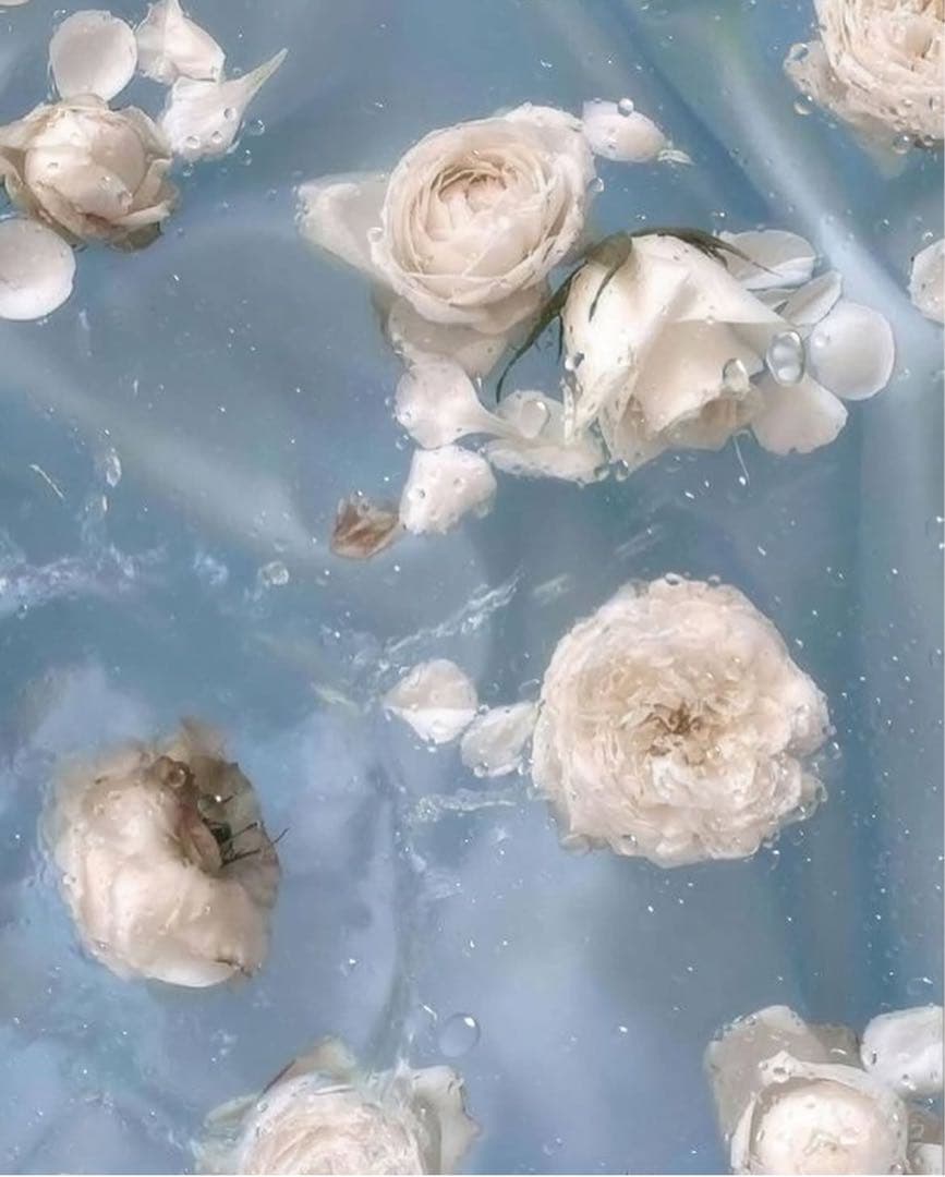 きゃん様オーダー用 シート止め金具|K4955,K4956,K4536,K5490,K5491|ゴールド,シルバー