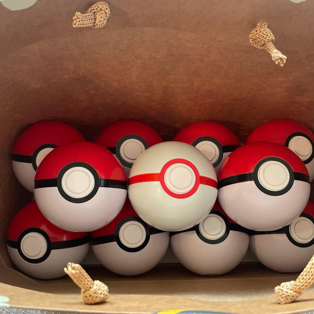 モンスターボール10個 プレミアボール1個 ポケパークカントー限定