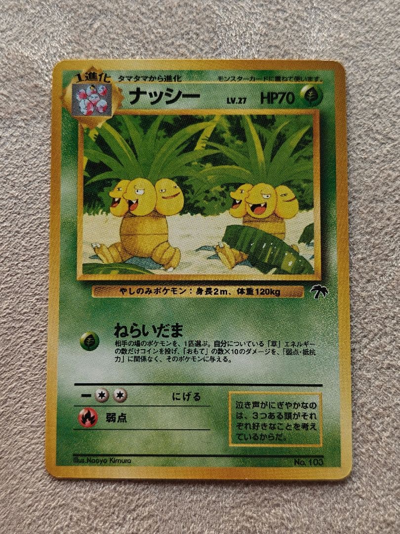 旧裏 ポケモンカード サザンアイランド トロピカルアイランド 海辺