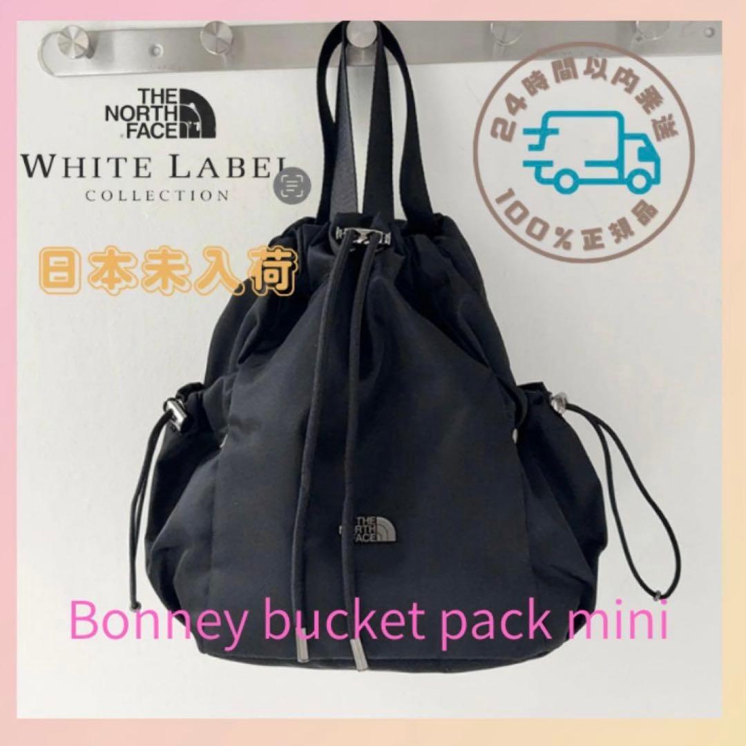 THE NORTH FACE バケットバッグ ミニ 韓国限定 ブラック