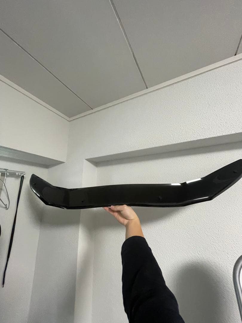 50プリウス　バグガード