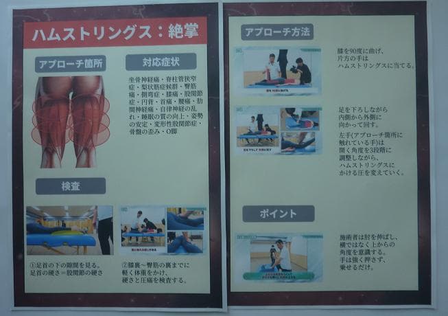 天掌 DVD & 資料セット